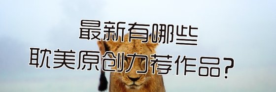 最新有哪些耽美原创力荐作品？